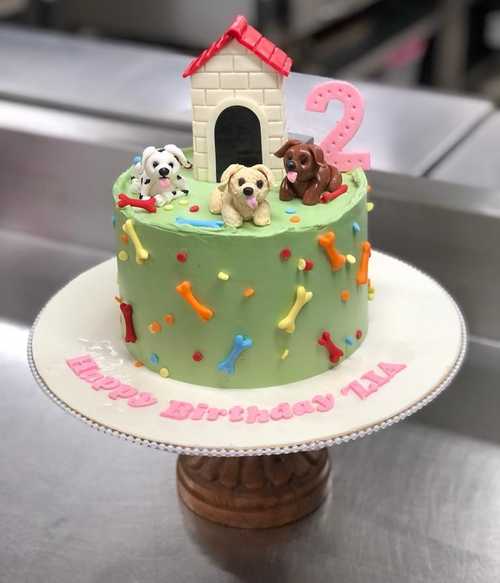 Animal Theme Cakes